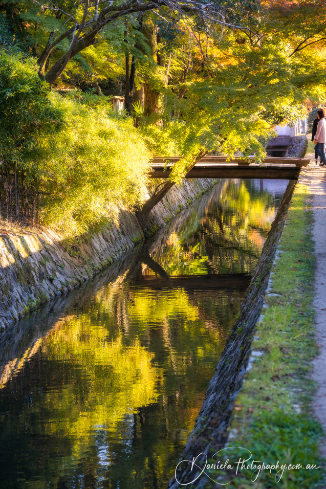 Philosopher's Path Reflections in water Kyoto